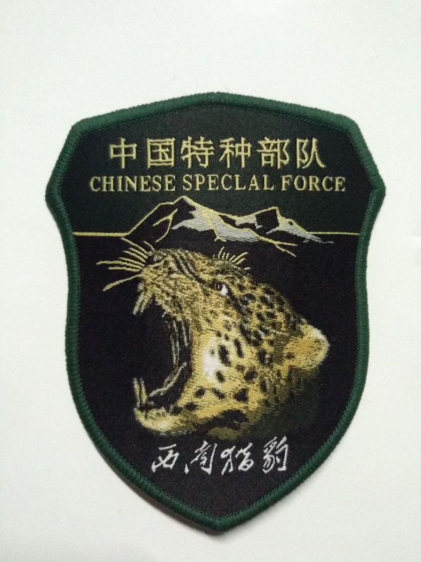 猎豹 猎豹
