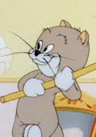 猫和老鼠