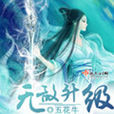 无敌升级 无敌升级