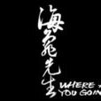 海龟先生(专辑名称) 海龟先生(专辑名称)