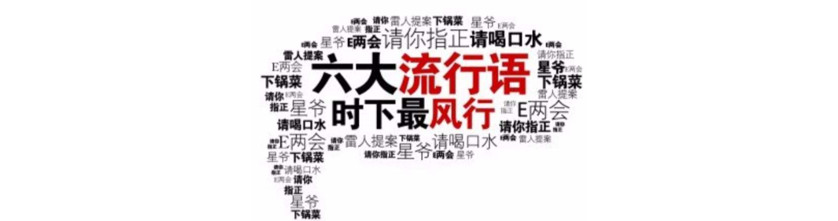 流行语 流行语