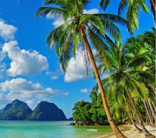 热带海洋性季风气候 热带海洋性季风气候