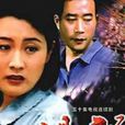 渴望(中国1990年鲁晓威、赵宝刚执导电视剧) 渴望(中国1990年鲁晓威、赵宝刚执导电视剧)