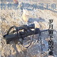 特种部队之弹道无痕 特种部队之弹道无痕