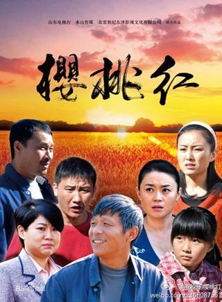 王天泽(中国内地影视童星演员)