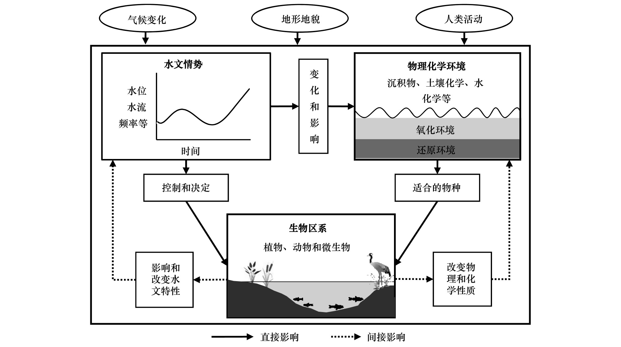 湿地生态水文模型 湿地生态水文模型