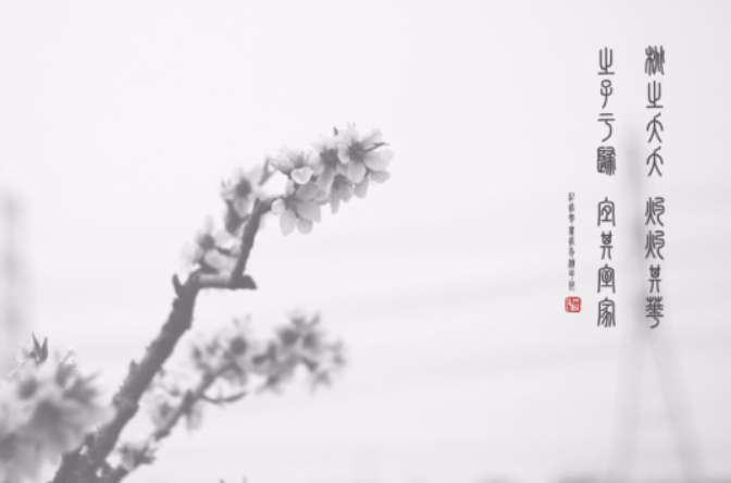 灼灼其华(诗经一篇) 灼灼其华(诗经一篇)