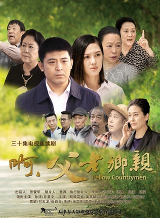 王佳宁