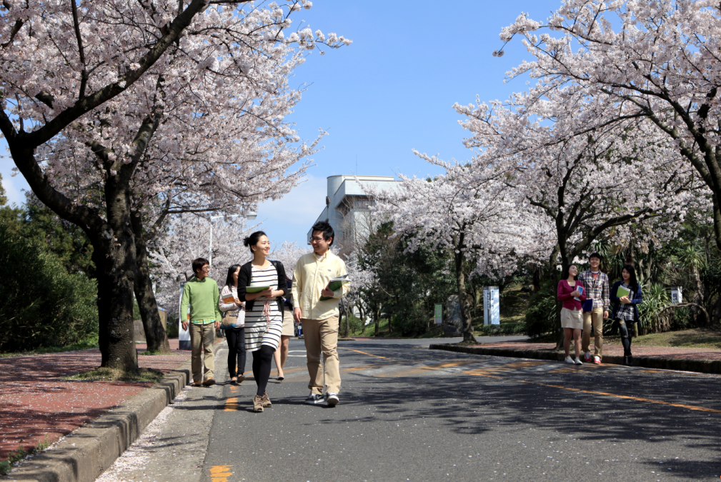 济州国立大学(济州大学) 济州国立大学(济州大学)