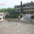 渡头塘镇中心学校 渡头塘镇中心学校