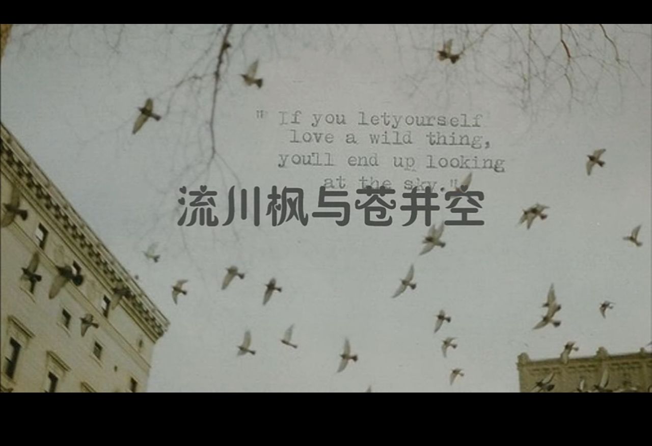流川枫与苍井空(黑撒乐队演唱歌曲) 流川枫与苍井空(黑撒乐队演唱歌曲)