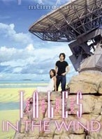 汤宝如