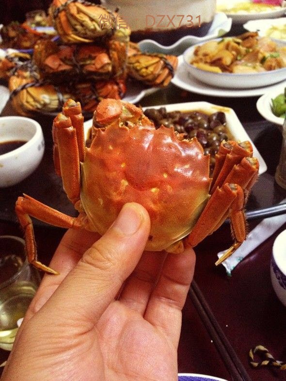 烹饪 烹饪