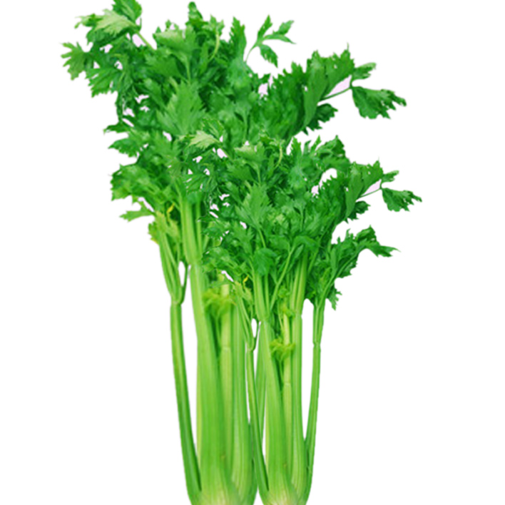 芹菜 芹菜