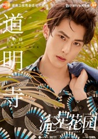 流星花园(2018年沈月、王鹤棣​主演电视剧)