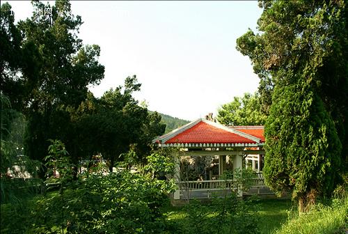 独山森林公园 独山森林公园