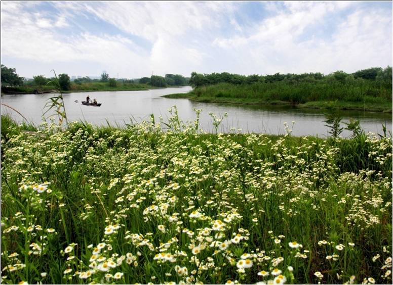 长田漾湿地公园 长田漾湿地公园