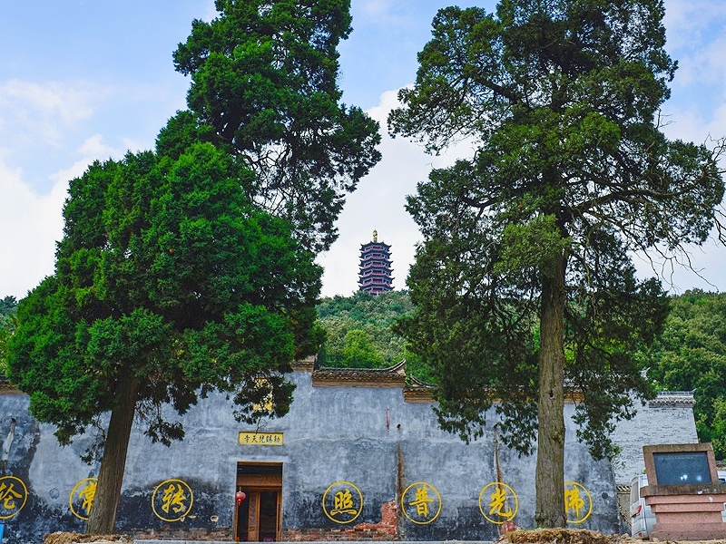 净居寺 净居寺