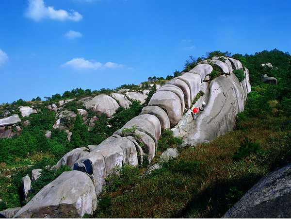 温州茶山 温州茶山