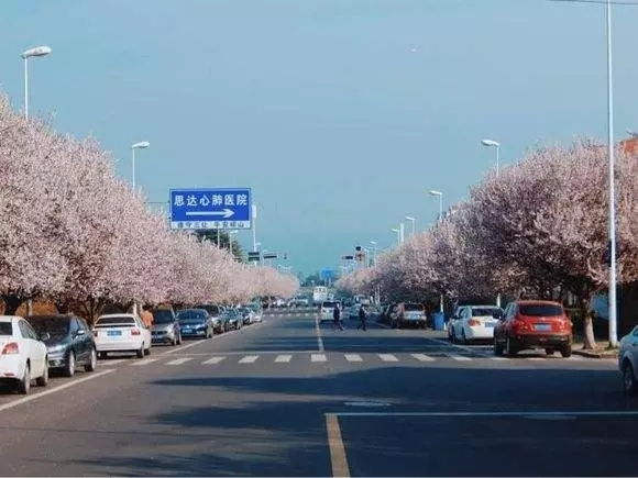 海安路站 海安路站