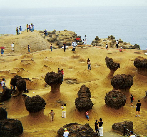 野柳奇特的海蚀地貌 野柳奇特的海蚀地貌