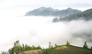 山间云雾 山间云雾