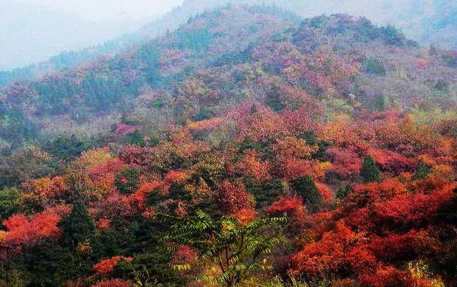 湖南莽山 湖南莽山