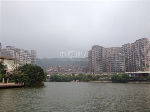 星河丹堤花园外观图 星河丹堤花园外观图
