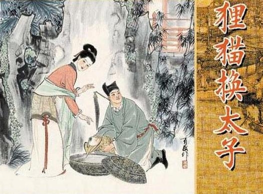 狸猫换太子 狸猫换太子