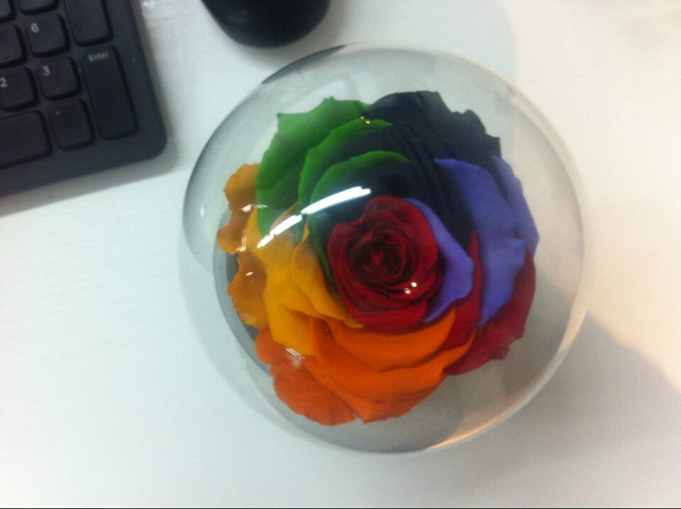 父亲节礼物 父亲节礼物