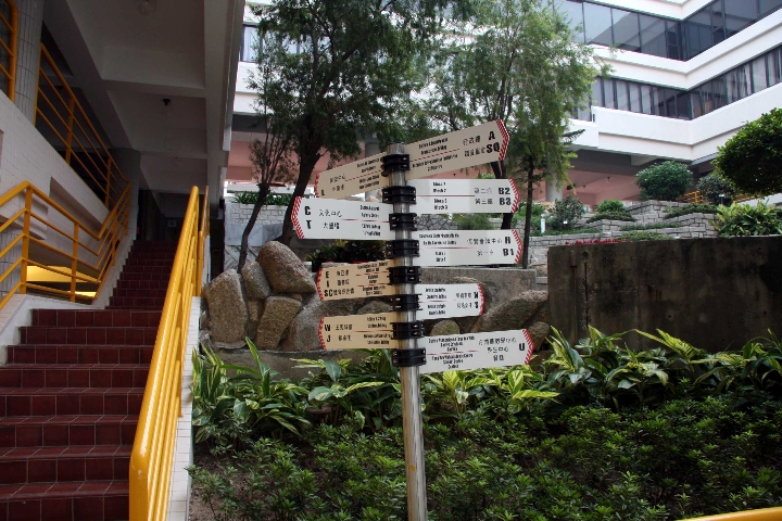 校园路标 校园路标