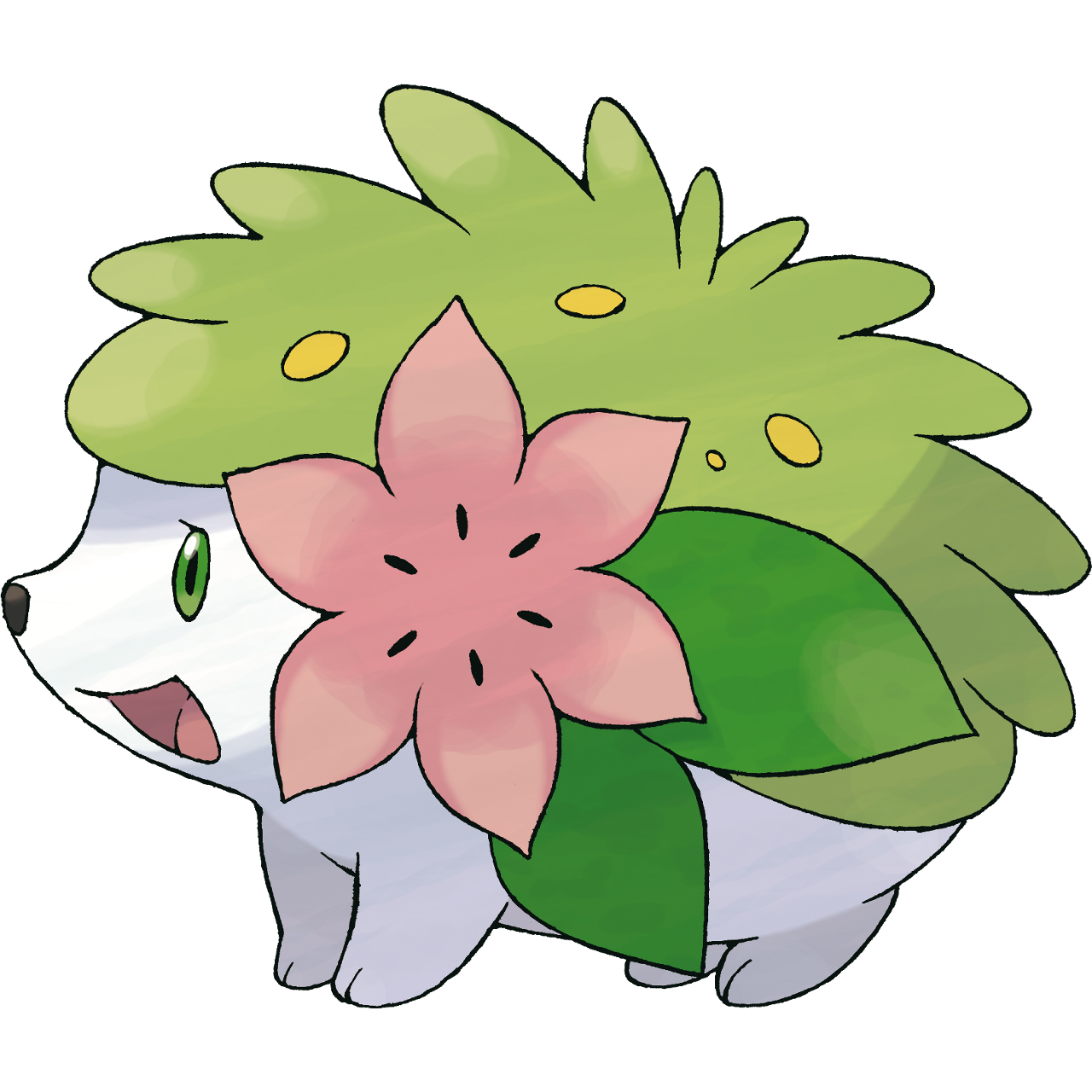 洁咪