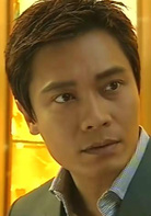 流金岁月(2002年罗嘉良、宣萱主演TVB电视剧)