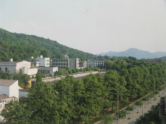 校园一角 校园一角