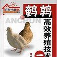牛蛙高效养殖技术一本通 牛蛙高效养殖技术一本通