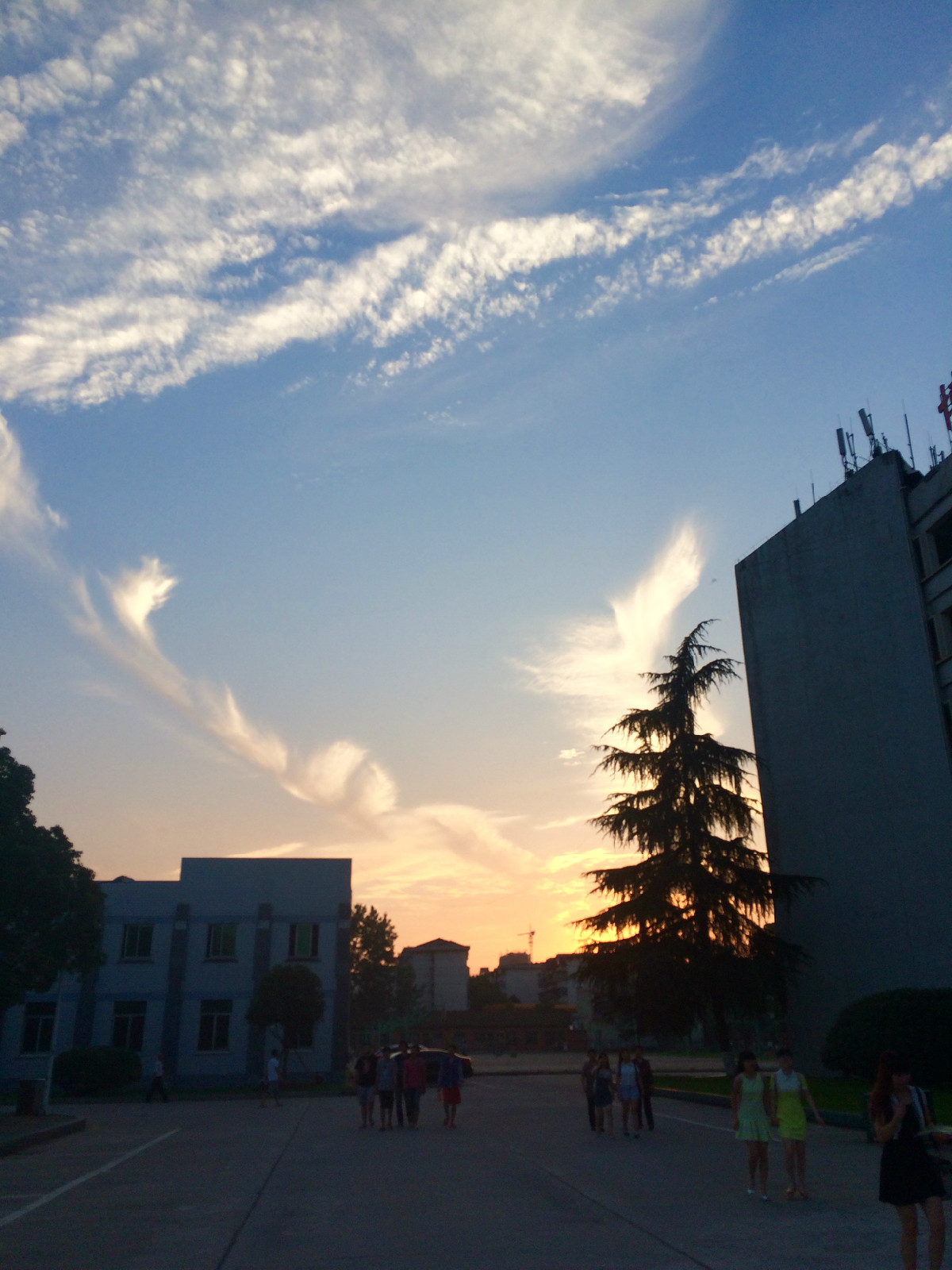 教学楼前坪 教学楼前坪