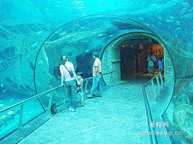 海洋博物馆(展示海洋自然历史和人文历史的博物馆) 海洋博物馆(展示海洋自然历史和人文历史的博物馆)