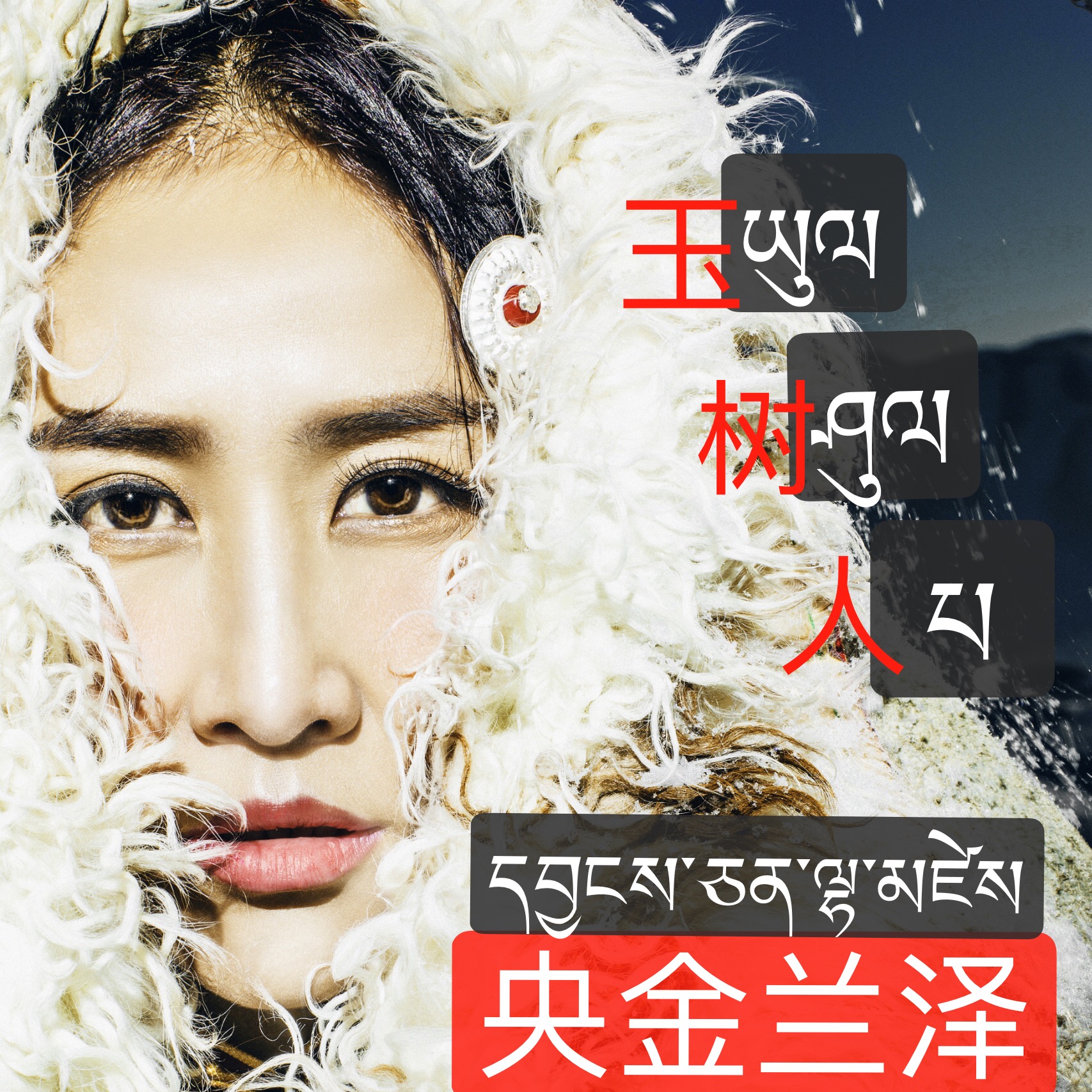 玉树人 玉树人