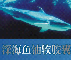 深海鱼油软胶囊 深海鱼油软胶囊
