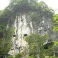 汤家溪村 汤家溪村