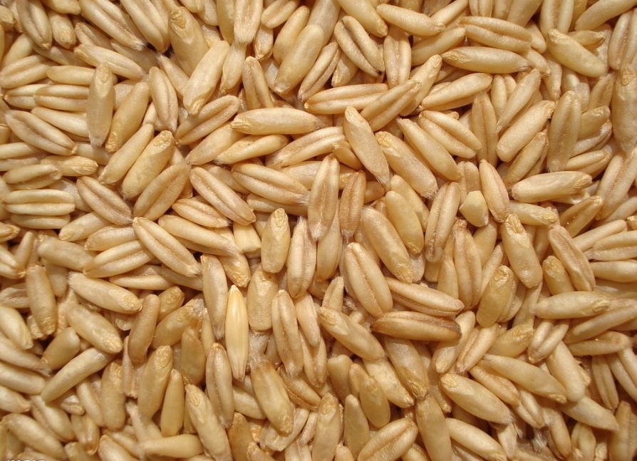 烘焙食品 烘焙食品
