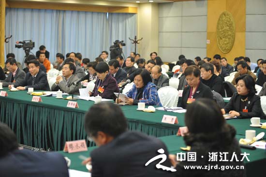 代表审议政府工作报告 代表审议政府工作报告