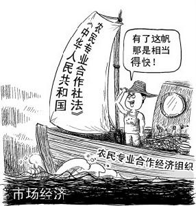 社会主义市场经济 社会主义市场经济
