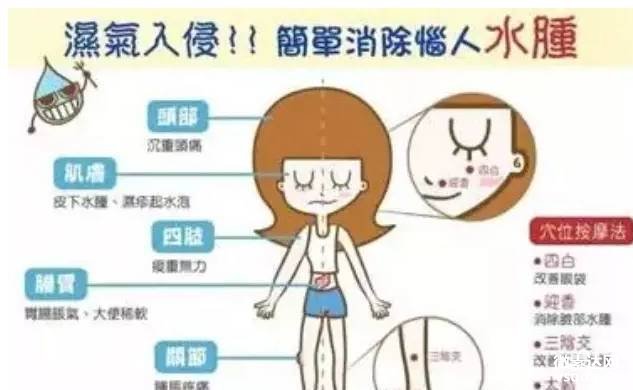 湿气(中医理论概念) 湿气(中医理论概念)