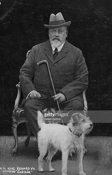 英国国王爱德华七世与爱犬凯撒—原始杰克(牧师)罗素梗 英国国王爱德华七世与爱犬凯撒—原始杰克(牧师)罗素梗