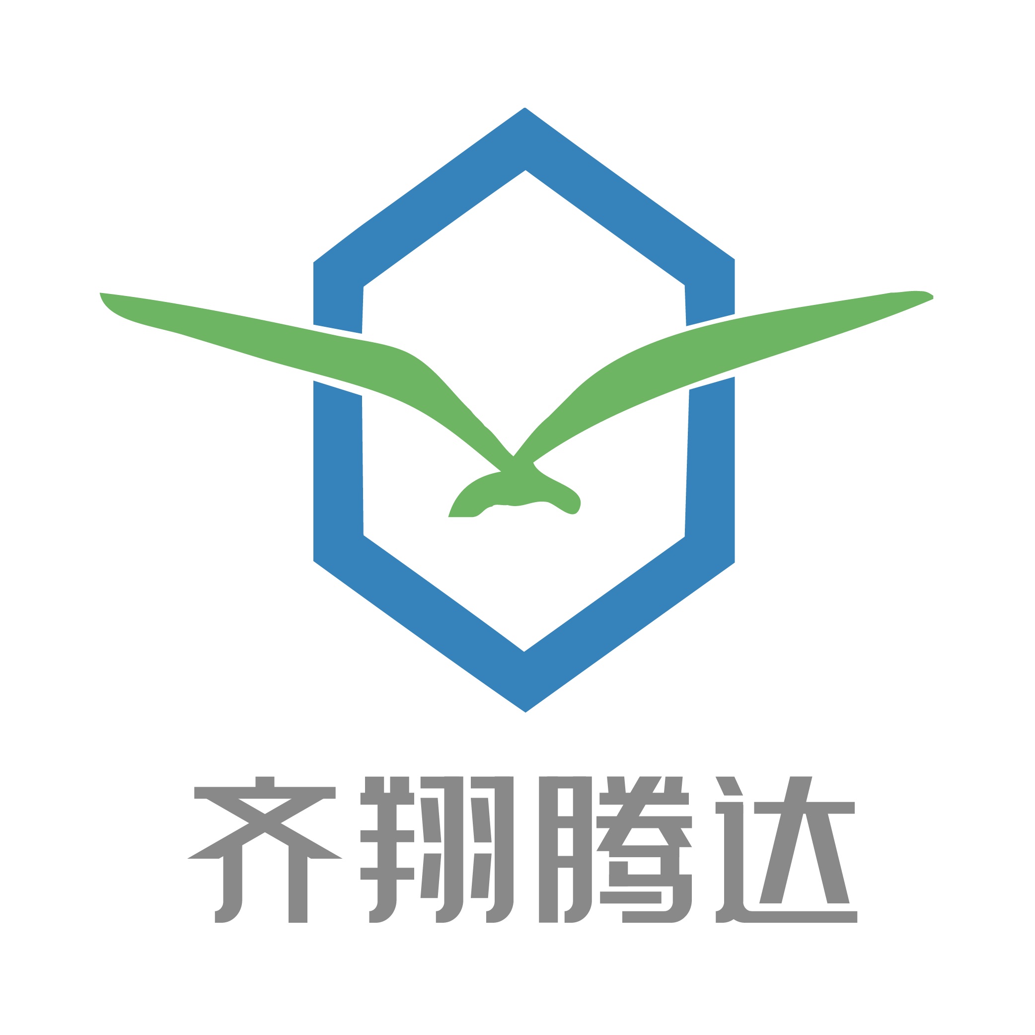 淄博齐翔腾达化工股份有限公司 淄博齐翔腾达化工股份有限公司