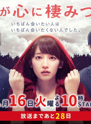 濑户朝香