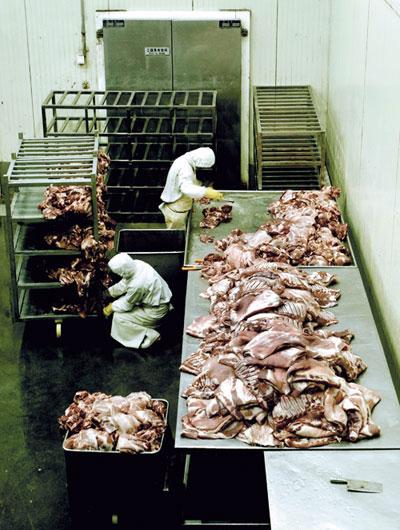 工人们给肉添加腌製液,防腐剂等添加剂。 工人们给肉添加腌製液,防腐剂等添加剂。