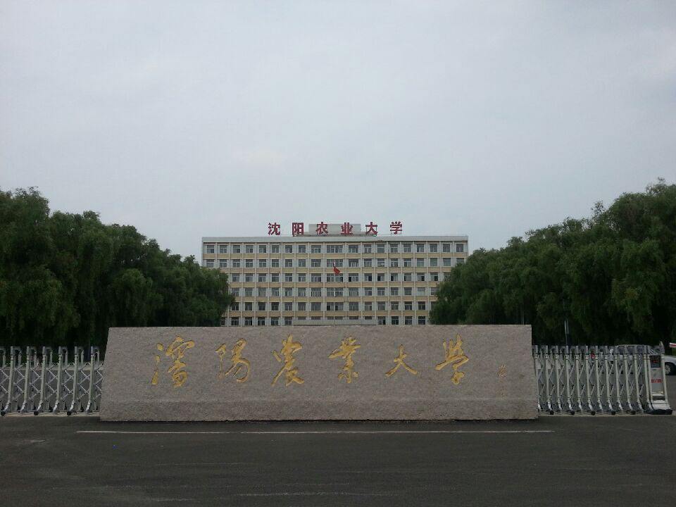 瀋阳农业大学食品学院 瀋阳农业大学食品学院