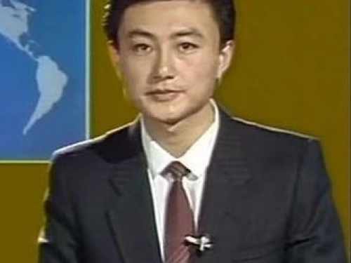 王宁(中央电视台《新闻联播》原播音员) 王宁(中央电视台《新闻联播》原播音员)